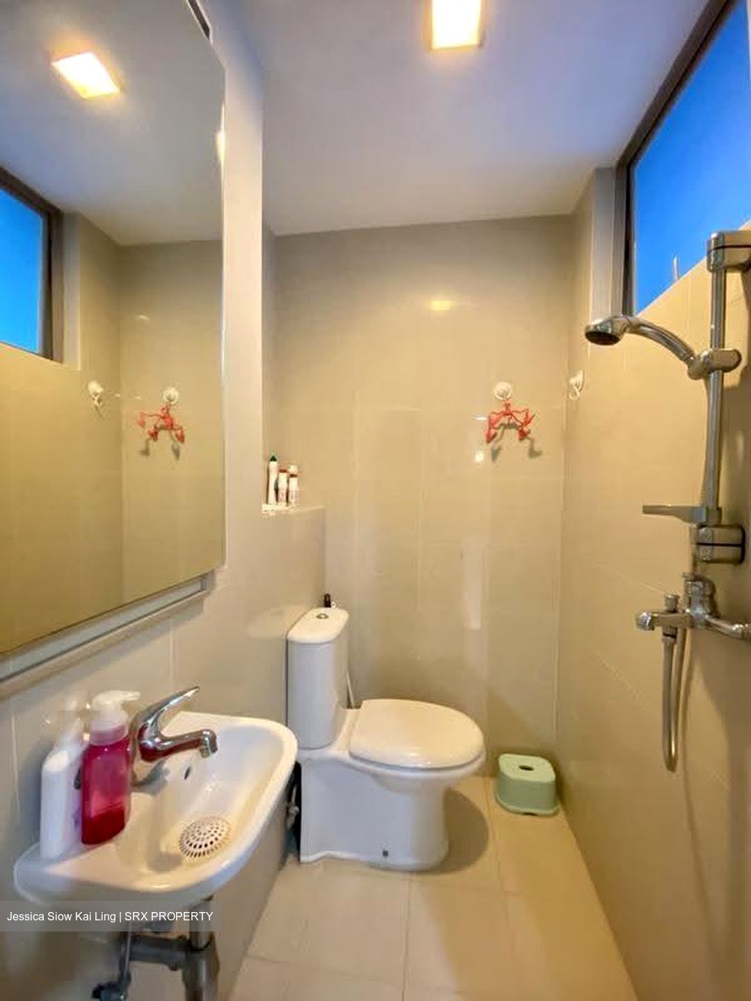 Novena Suites (D11), Apartment #625976451
